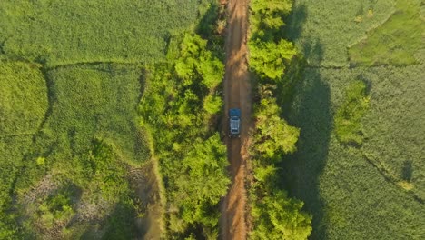 Aerial-top-down-view-of-SUV-Off-Road-Vehicle-on-dusty-forest-road-near-rice-fields-on-sunny-day-in-African-countryside