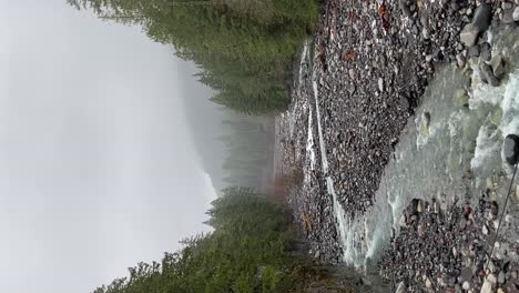 Hiking-through-the-forest-where-there-is-a-lake