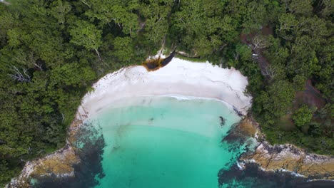 A-birds-eye-4K-drone-view-looking-down-on-Blenheim-Beach,-a-beautiful-white-sand-beach-in-Jervis-Bay,-New-South-Wales