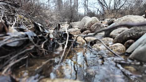 A-stream-in-early-spring-flows-through-stones-in-a-gray-forest-4k