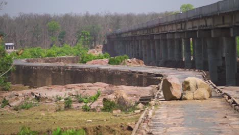 An-old-abandoned-river-bridge-surrounded-by-forest-of-orchha-in-Madhya-pradesh-india