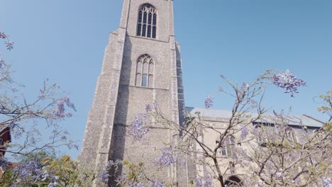 Glyzinien-Blühen-Am-Turm-Der-Mittelalterlichen-Pfarrkirche-St.-Giles-In-Norwich