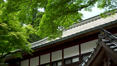 Incredible-slow-motion-scenery-at-Daiyuzan-Temple-in-Kanagawa,-Japan