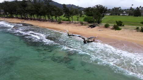 Aerial-Turn-Around-Driftwood-on-Kauai-Beach-with-Waves-and-Mountains-on-Moody-Day