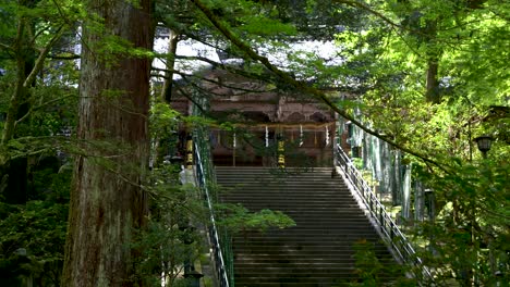 Altos-Escalones-De-Piedra-En-El-Hermoso-Edificio-Del-Templo-Dentro-De-Un-Exuberante-Bosque-Verde-Japonés