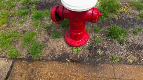 Eine-Aufnahme-Aus-Niedriger-Perspektive-Eines-Rot-weißen-Hydranten,-Der-An-Einem-Sonnigen-Tag-Rostiges-Wasser-Auf-Die-Straße-Sprüht