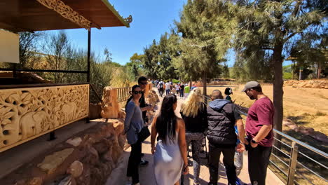 Visitors-walking-along-a-tree-lined-path-at-Attica-Zoological-Park-on-a-sunny-day