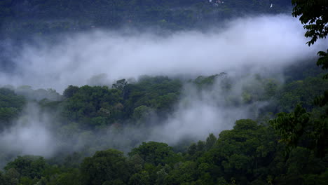 Mountains-in-clouds-at-evening-in-summer