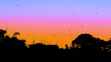 Viele-Vögel-Fliegen-über-Den-Wald-Im-Lebhaften-Dämmerungshimmel-Im-Amazonasgebiet