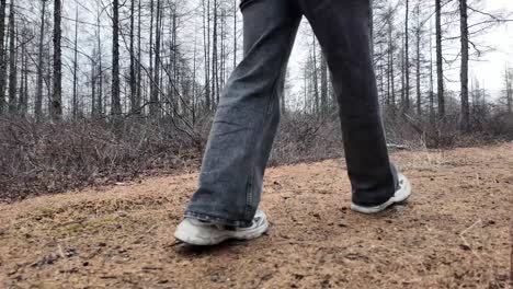 Eine-Person-In-Jeans-Und-Turnschuhen-Geht-Auf-Einem-Waldweg