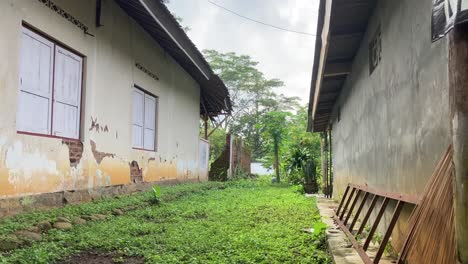 footage-of-green-grass-with-an-old-building