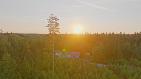 Aerial-view-approaching-a-remote-home-in-middle-of-the-forest,-sunrise-background