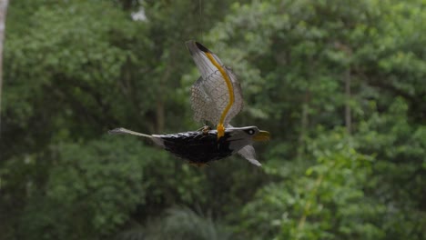 A-close-up-shot-of-a-toy-bird-suspended-on-a-string,-designed-to-mimic-flight