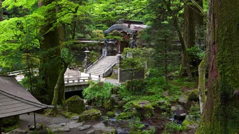 Beautiful-lush-green-forest-in-Japan-deep-with-typical-Buddhist-temple