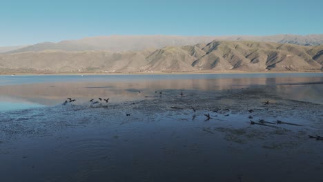 Aerial-Push-Toward-Waterfowl