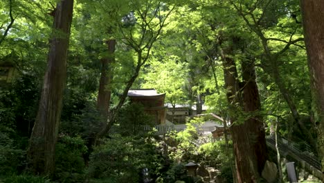 Fast-dynamic-tilt-up-over-beautiful-waterfall-inside-lush-forest