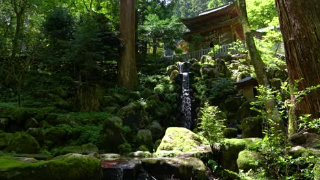 Locked-off-tripod-view-inside-lush-green-forest-with-temple-and-waterfall