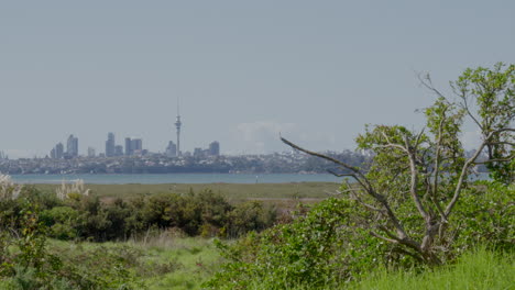 Skyline-Der-Stadt-Auckland-An-Einem-Sonnigen-Wintertag,-Neuseeland