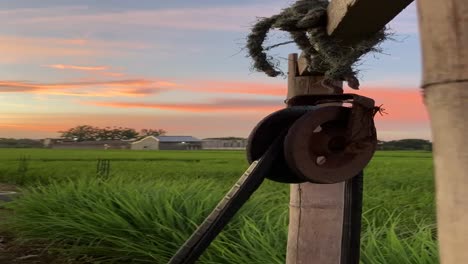 Vertikales-Video-Der-Sonnenuntergangszeit-Auf-Dem-Ackerland-In-Einem-Tropischen-Land