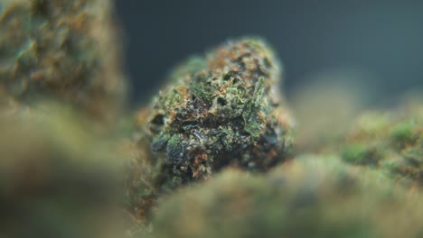 Eine-Detaillierte-Makroaufnahme-Einer-Cannabispflanze,-Hybrider-Orangensorten,-Rotierender-Sativa,-Marihuanablüte,-Full-HD,-Super-Zeitlupe,-120 fps,-Professionelle-Studiobeleuchtung,-Ausziehbewegung