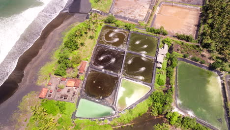 Aerial-arc-view-over-aerated-shrimp-farm-ponds-on-Bali-coastline