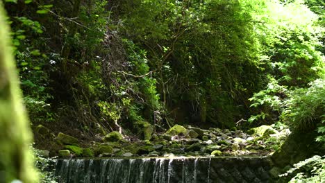 Stunning-summer-scenery-at-river-with-waterfall-in-lush-green-forest-nature