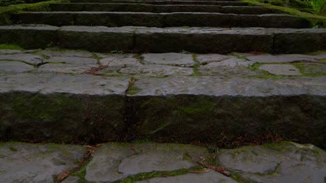 Langsame-Filmische-Schwenk-up-über-Steinstufen-An-Japanischen-Tempel-Tief-In-üppigen-Wald