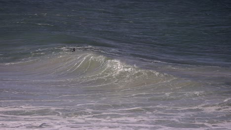 A-surfer-contends-with-large-rough-swell-off-Fingal-Head,-Northern-New-South-Wales,-Australia