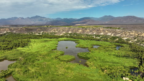 Drone-approaching-the-Mirador-Santiago-de-Yola-Oasis,-in-sunny-Baja-California-Sur-Mexico