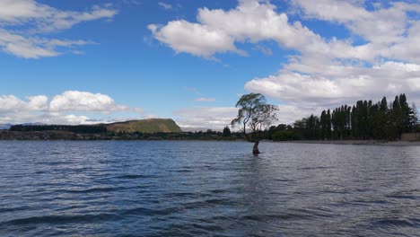 Volando-Hacia-El-Sauce-Wanaka,-Un-árbol-Solitario-Que-Crece-En-Medio-Del-Lago-Wanaka