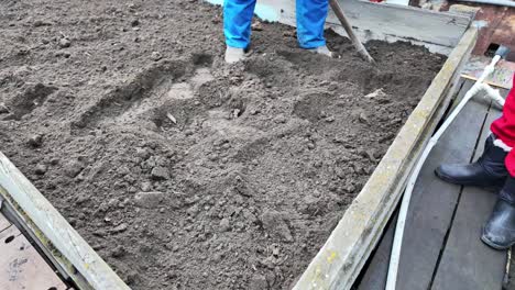 El-Video-Muestra-El-Proceso-De-Plantar-Patatas-En-Primavera.