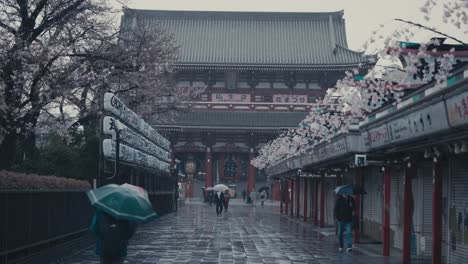 Gente-Caminando-Por-La-Calle-En-Un-Día-Lluvioso-En-Asakusa,-Tokio,-Japón---Cámara-Lenta