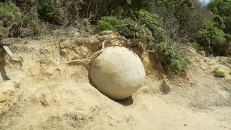 Dolly-in-strange-looking-stone,-concept-alien-or-ancient-dinosaur-egg-in-sand