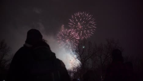 People-silhouetted-against-a-night-sky-watch-fireworks-sparkling-brightly-among-the-trees