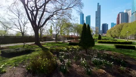 Luftaufnahmen-Einer-FPV-Drohne-Von-Einem-Ruhigen-Stadtpark-Mit-Gepflegten-Rasenflächen,-Blühenden-Blumen-Und-Gebäuden-Der-Stadt-Chicago-Unter-Einem-Klaren-Blauen-Himmel