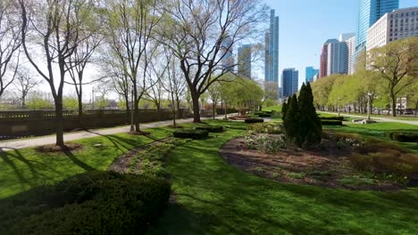 aerial-fpv-drone-footage-of-A-serene-urban-park-with-manicured-lawns,-blooming-flowers,-and-Chicago-city-buildings-under-a-clear-blue-sky