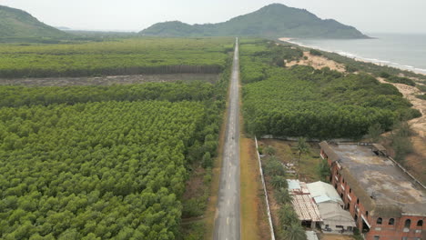 Drone-Tracks-Motorcycle-Down-Long-Straight-Coastal-Road-In-Tam-Vi-District-Vietnam
