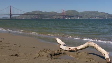 Crissy-Field-East-Beach-Dead-Wood-on-Sand-with-Golden-Gate-Bridge-in-the-Background-Across-the-Bay,-San-Francisco,-California,-USA