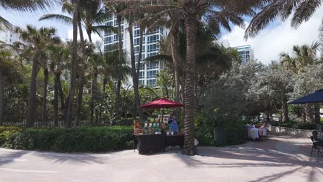 Outdoor-market-setup-among-palm-trees-near-tall-buildings-in-Miami-Beach