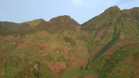 Mountainous-landscape-with-growing-crops,-aerial-drone-view