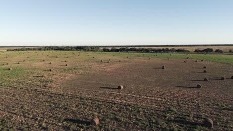 Vast-field-in-Argentina-filled-with-round-bales,-ready-for-collection