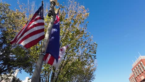 Flags-of-the-United-States-of-America,-located-in-a-green-park-on-a-sunny-day-waving-in-the-wind