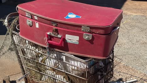 Homeless-person's-old-red-suitcase-on-a-shopping-trolley-full-of-rubbish