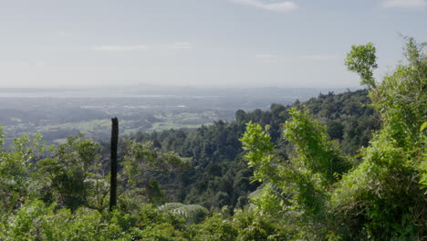 wide-shot-of-the-green-landscape-around-Auckland,-New-Zealand