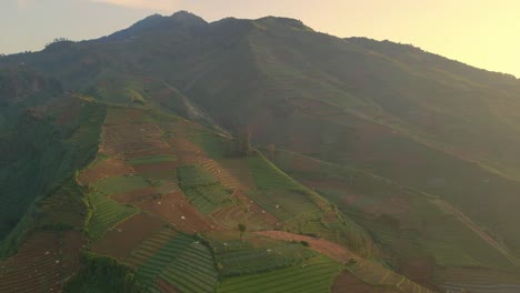 Huge-plantation-on-hillside-of-Mount-Sumbing-in-Indonesia,-aerial-drone-view-during-golden-hour