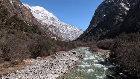beauty-of-Langtang-Valley,-where-the-icy-summit-of-Langtang-Lirung-towers-over-the-serene-Langtang-Khola-river,-streaming-through-the-lush,-mountainous-landscape-of-Nepal’s-Himalayas