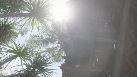 Scenic-low-angle-shot-of-sunlight-coming-through-roof-and-palm-trees