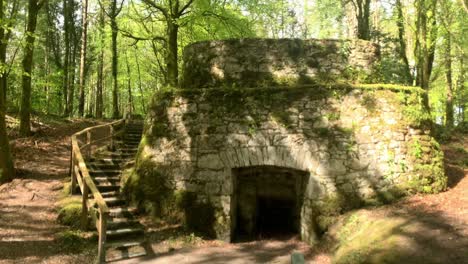 Sunny-day-pan-captures-path-to-Lime-Kiln-in-Coole-Park,-Ireland