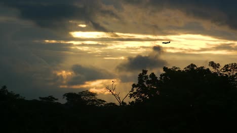 Silhouette-of-airplane-passing-over-a-tropical-forest