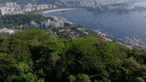 Luftaufnahmen-Eines-Flugs-über-Einige-Bäume-Zeigen-Die-Bucht-Von-Botafogo-In-Rio-De-Janeiro,-Brasilien